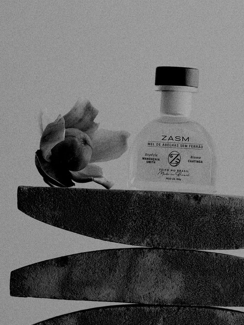MANDAÇAIA SMITH · CAATINGA